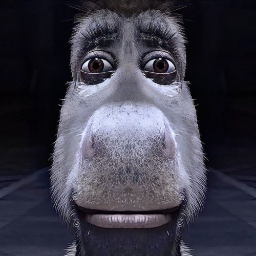 Me Looking At My Phone Trying Not To Lose My Shit When I See A Daryl Ship Post