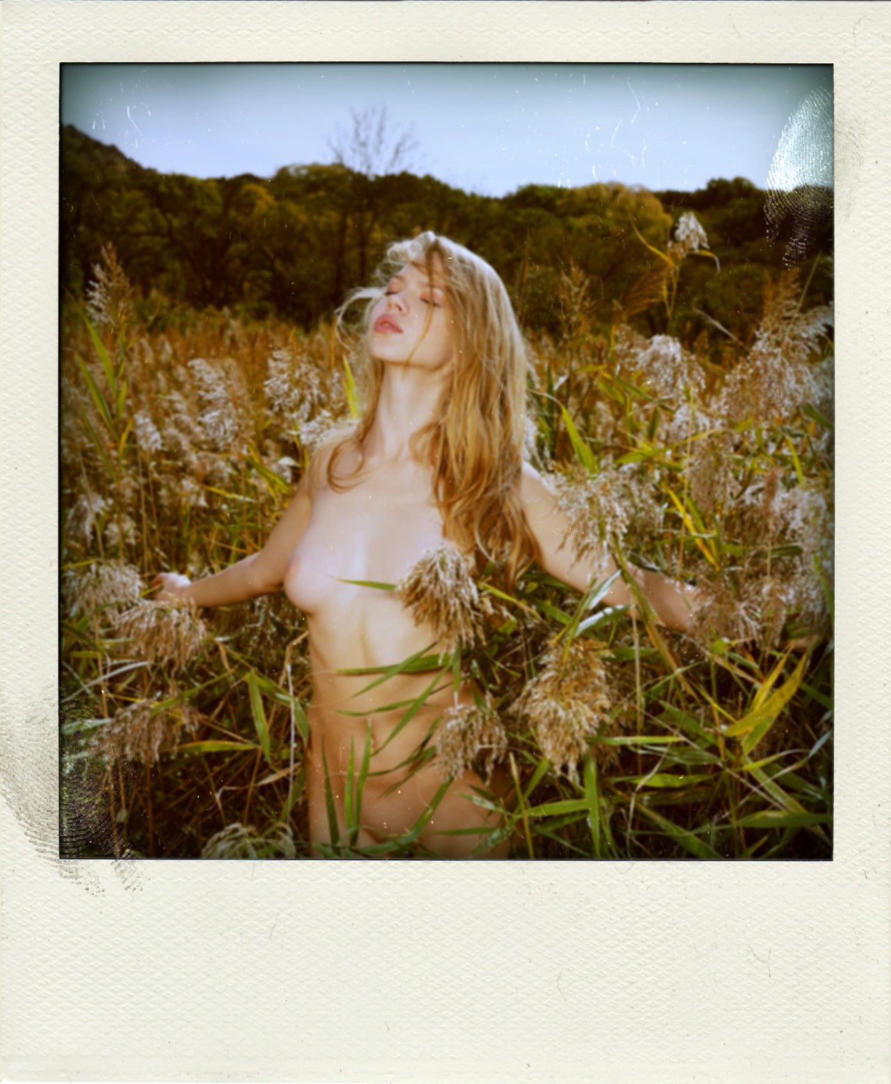 pornaroids:  Ripe Harvest