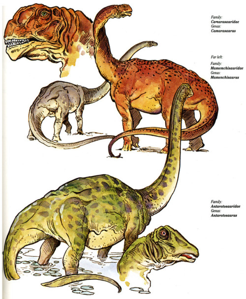 Some good old-fashioned dinosaurs from William Stout’s classic The Dinosaurs.