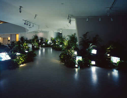 softpyramid:Nam June PaikTV Garden, 1974/2000video installation with color television sets and live 