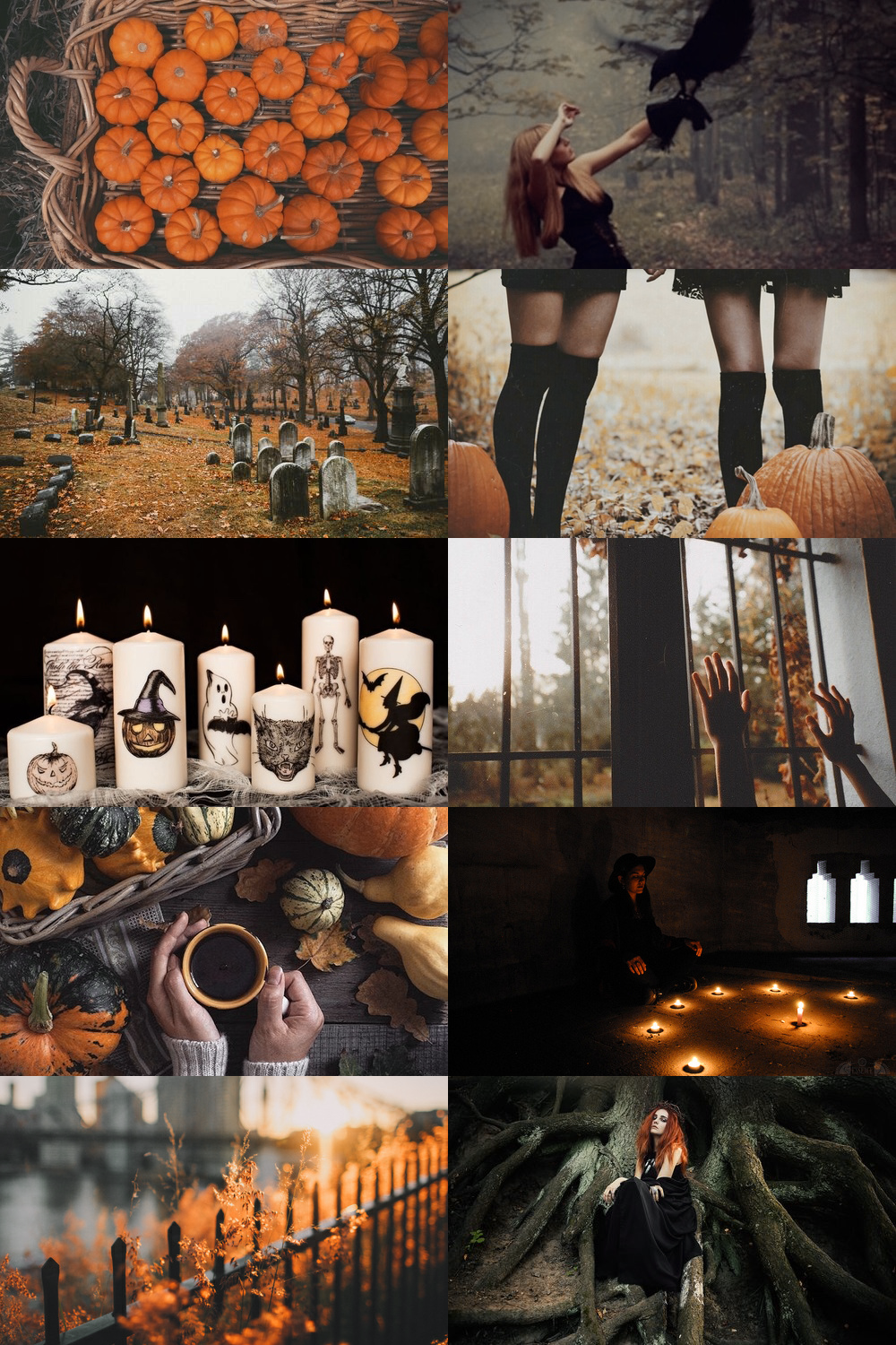 skcgsra: halloween witch aesthetic - Batty in the Graveyard