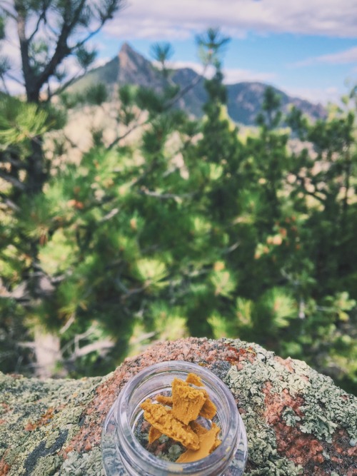 cannabis-vibes:Blueberry Diesel wax with a view ✌️⛰