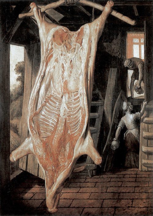 Joachim Beuckelaer - Slaughtered pig (1563).