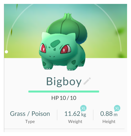 The biggest boy.