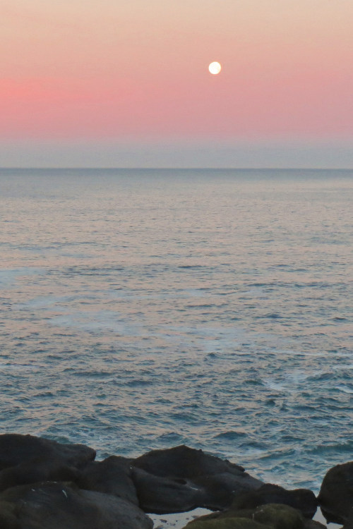 tumblr photo refocuses 0