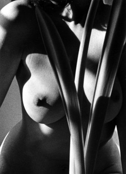 almavio:  Marie-Claire Montanari | The Nude