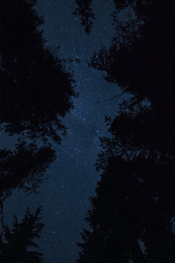 🌙