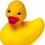 m1schievous-duck