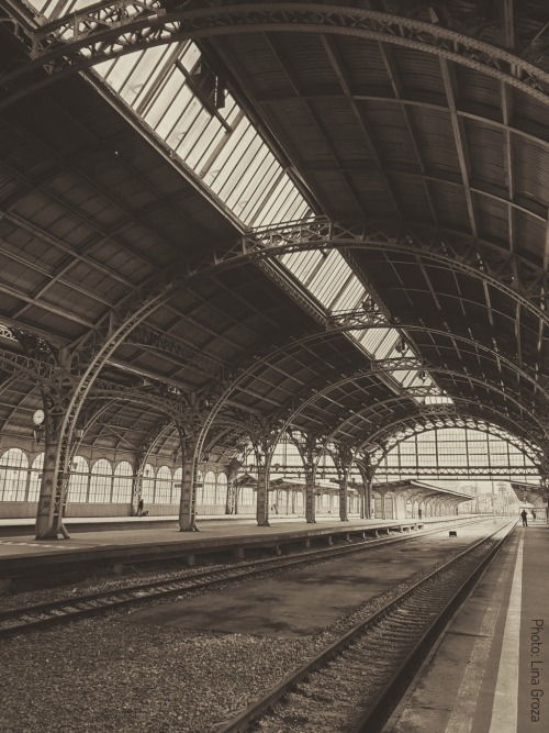 Vitebsky railway stationVitebsky is the very first train station in Russia. The first one-storey woo