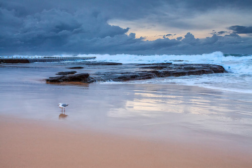 The Seagulls playground. by madarchie0 on Flickr.