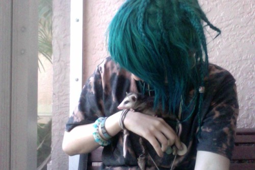 fluxdoldrums:  ive made a friend 