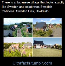 shipping-ruined-my-life:seeingspace:no-items:dontjudgemeimscared:ultrafacts:Sweden Hills (Japanese:スウェーデンヒルズ) is a Swedish-style village in Hokkaido in Japan. The style of the houses are Swedish red wooden style &amp; the people there