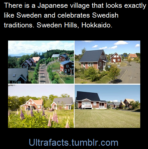 shipping-ruined-my-life:seeingspace:no-items:dontjudgemeimscared:ultrafacts:Sweden Hills (Japanese:スウェーデンヒルズ) is a Swedish-style village in Hokkaido in Japan. The style of the houses are Swedish red wooden style & the people there