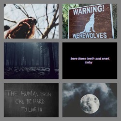 moodboardsuggestion: werewolf moodboard