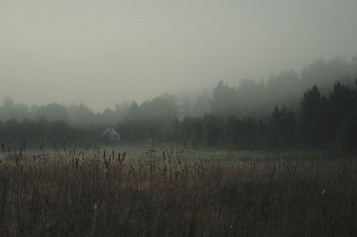 owls-n-elderberries:  untitled by Serge!! on Flickr. 