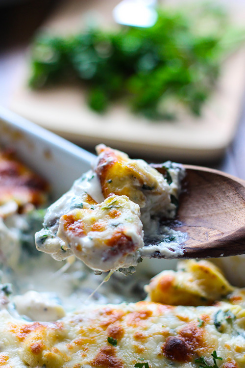 do-not-touch-my-food:Tortellini Alfredo Spinach CasseroleHungry? Click here