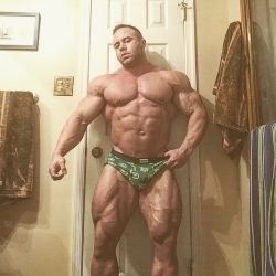 muscle roid pigs