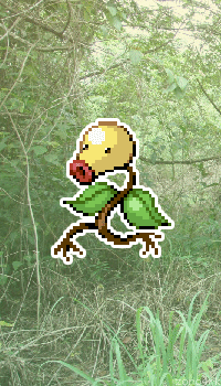 zoro4rk:Bellsprout, Weepinbell & Victreebel