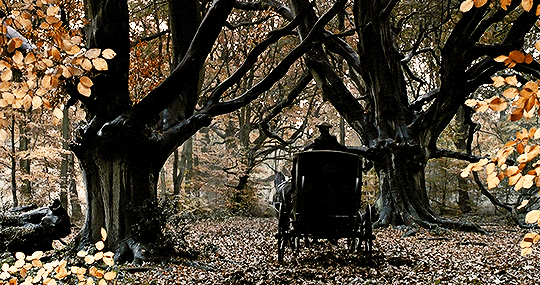 spellman:And yet my heart is not broken. Do you think me wicked?  Sleepy Hollow (1999), dir. Tim Burton