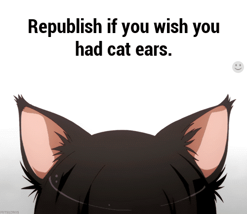 pinkkittenxx:  Meow