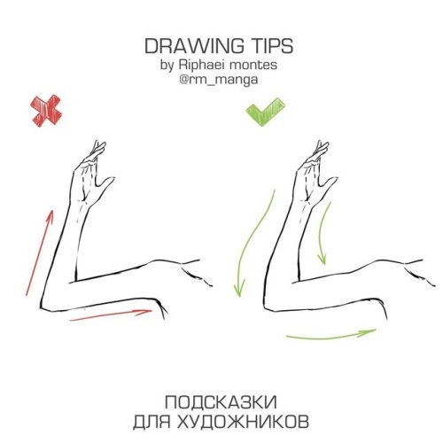 drawingden:Quick Anatomy Tips by rm_manga