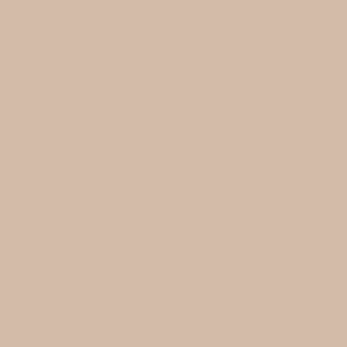 pantone-colors:Pantone 481-c rgb(211,187,168) hsl(27,33%,74%) #d3bba8 t.co/Bj8BArnQpo