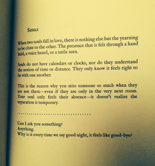 langleav:  such-sweet-serendipityy:  I love this book too much.  So happy to hear, thanks wonderful xo Lang  ……………. Love & Misadventure is available online via Amazon, BN.com + The Book Depositoryand Barnes & Noble, Kinokuniya,