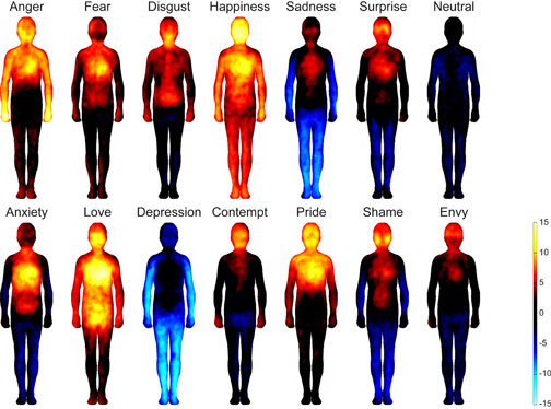 Finnish research team reveals how emotions are mapped in the body
Researchers found that the most common emotions trigger strong bodily sensations, and the bodily maps of these sensations were topographically different for different emotions. The...