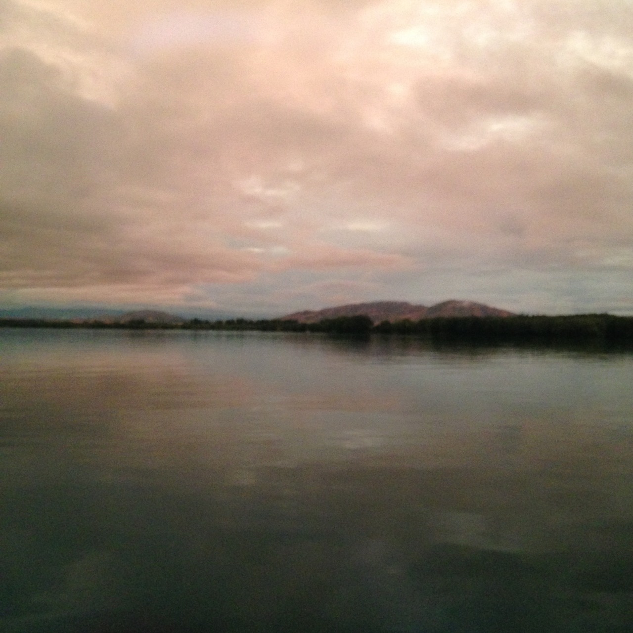 fairytwig:  the clouds are blushing !! (from last monday)