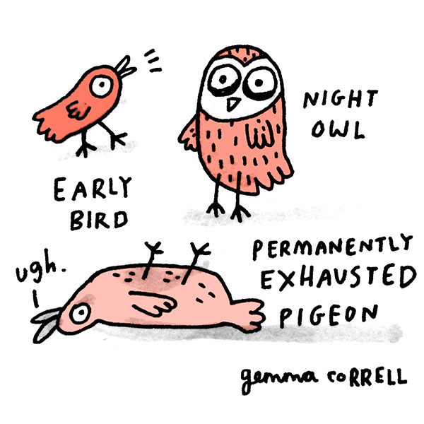 tastefullyoffensive:  by Gemma Correll  Pigeon. Yup.