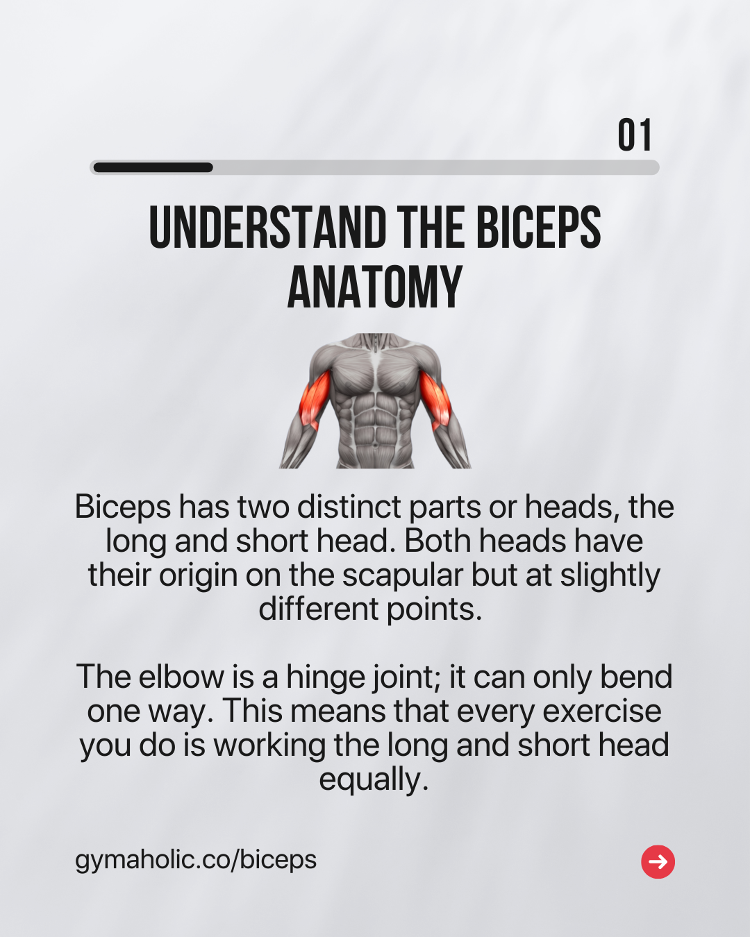 You don’t need to do movements from weird angles to make your biceps big.