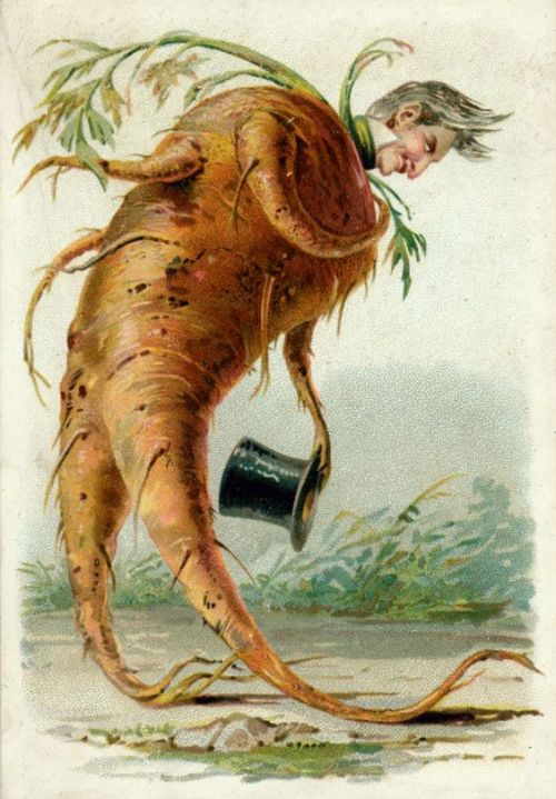 weirdchristmas: So a mini-lesson in Victorian card-making. This is a multipurpose card. Note the bla