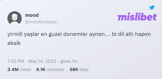 Bir tek dil altı hapımız...