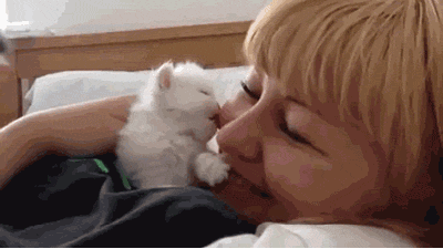 awwww-cute:  kitty kisses