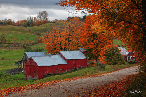 jenne farm by [Adam Baker] on Flickr.
