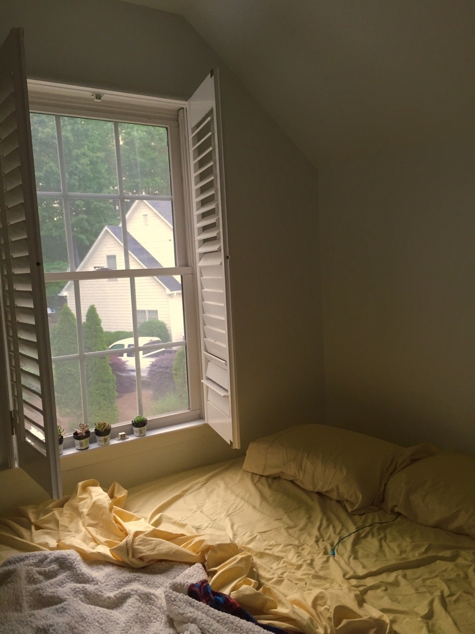 blossomcrowns:  The view from my new bedroom is quite cozy. Plus I’m loving these