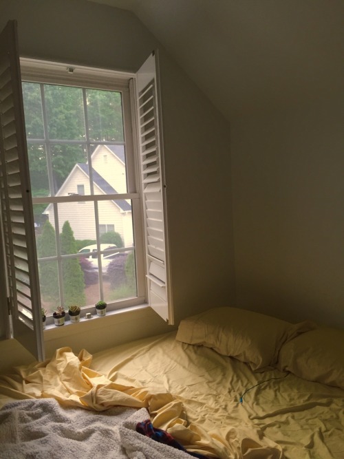 rafsimo:The view from my new bedroom is quite cozy. Plus I’m loving these French shutters and yellow