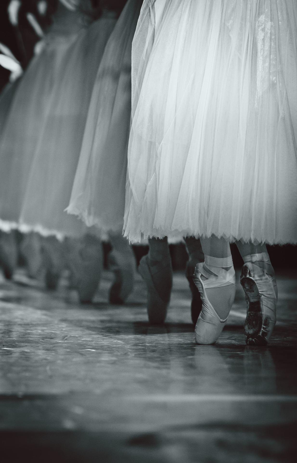 carlosquezadaph:  Compañía Nacional de Danza . México  Giselle . Willis Corps