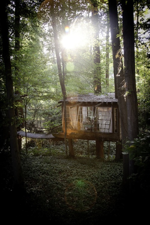 digitalramen: Peter Bahouth linked these three tree houses with all you’ll need for a night of