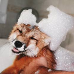jessikawhoeverr:Everyone loves bubble baths 🛀