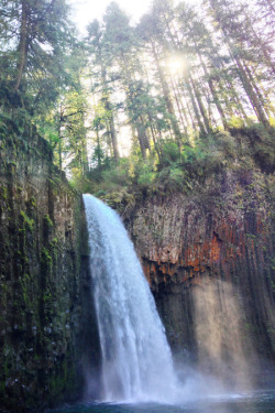 avenuesofinspiration:Abiqua Falls in Oregon | @adrianacevedo 