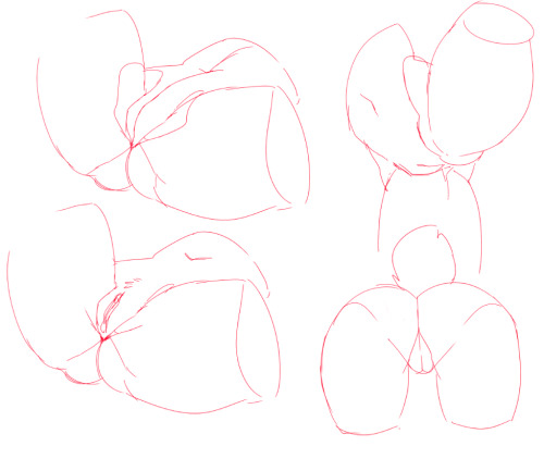 pwnypony:  nsfwnox:  someone put a ask in about drawing butts and legs, well I’m no pro at them so here is some practices i did! (plus other body parts)  …fff….  thank you!