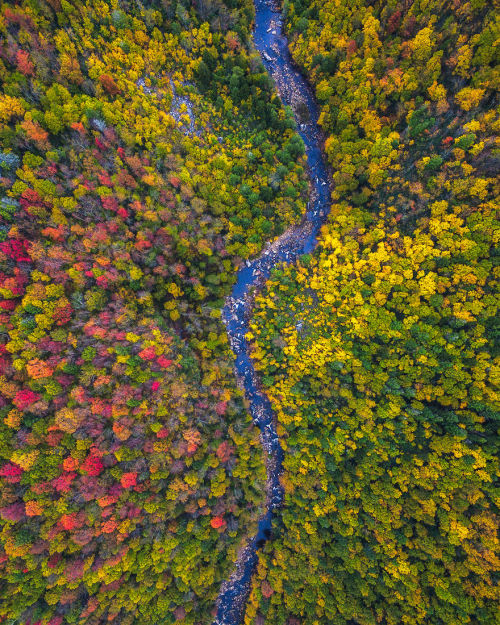 wordsnquotes:  Photographer Michael Matti and his roommate Drove Through Every State in the Northeast US to Photograph the Beauty of Autumn Keep reading  a u t u m n 