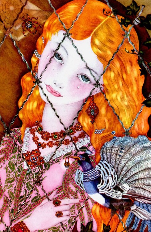 bayazeth: The Fairy Tale Book, illustrated by Adrienne Segur