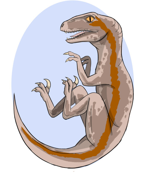 Got A Request From Stomping-the-phantom-brake-pedalfor An Orange Blue!thank You Again For The Request