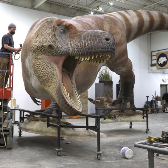 headspace-hotel:mezduin:hummingyogurt:  timetravelonion:hummingyogurt:the-original-b:the-original-b:Here’s one good thing to come out of 2020:Paleontologists completed a life-sized replica of Sue, the most complete T. Rex ever found.And she is freaking