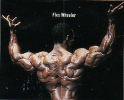 lift-strong:  Flex Wheeler