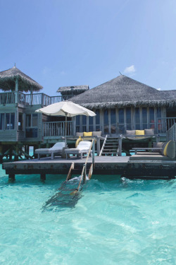 livingpursuit:  Gili Lankanfushi Maldives