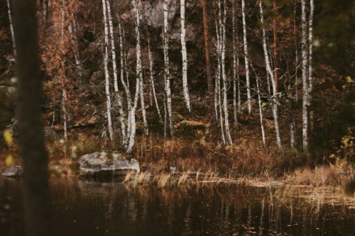 oonajuliar: My autumn moments in the woods, by the river and lakes. This is my Finland. Kymi the riv