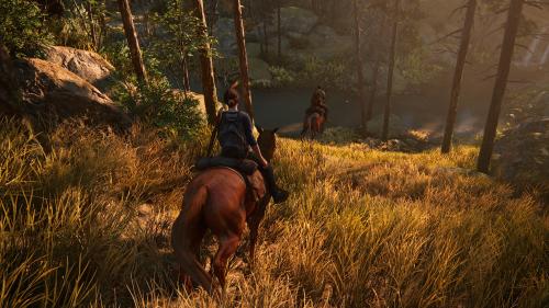 Enjoying TLoU Part II